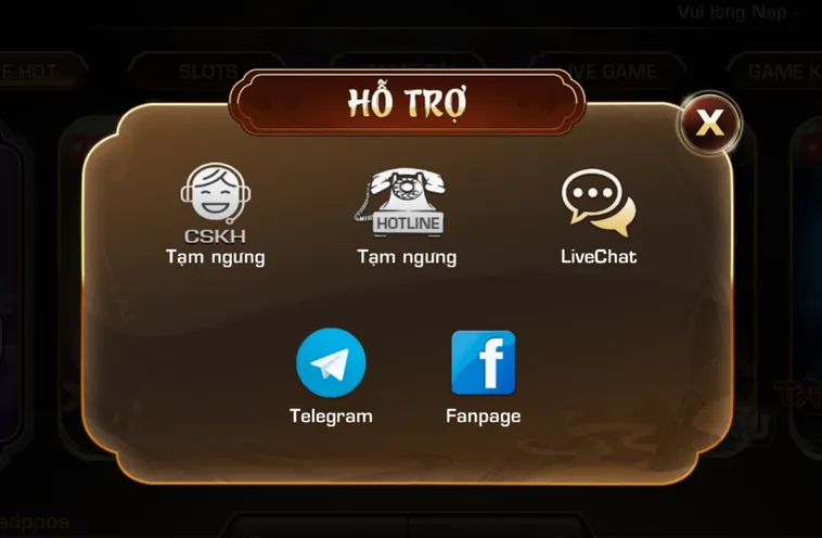Đội ngũ hỗ trợ khách hàng chuyên nghiệp tận tâm hoạt động 24/7.
